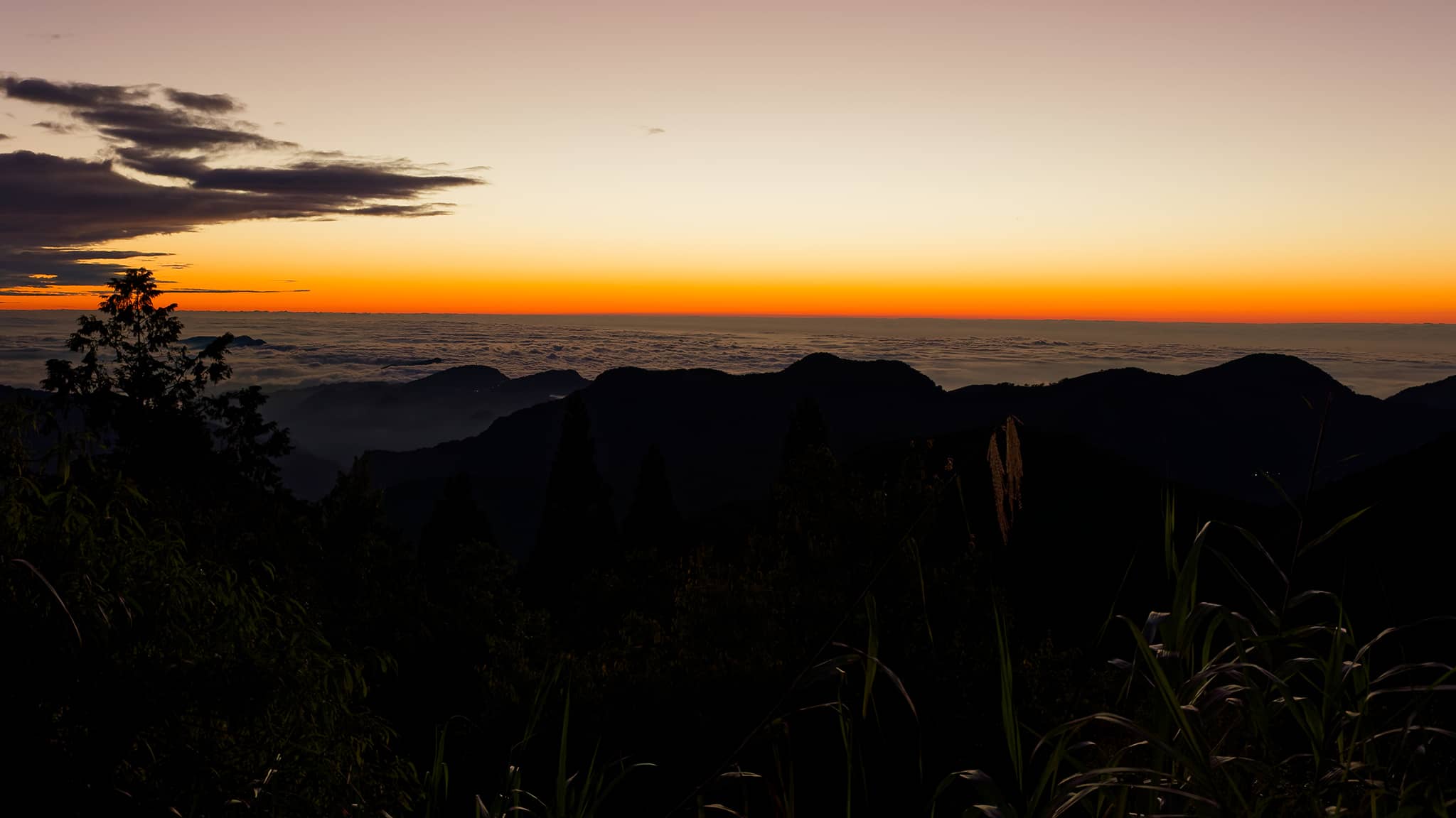 05 - Alishan (17).jpg